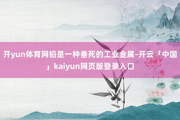开yun体育网铅是一种垂死的工业金属-开云「中国」kaiyun网页版登录入口