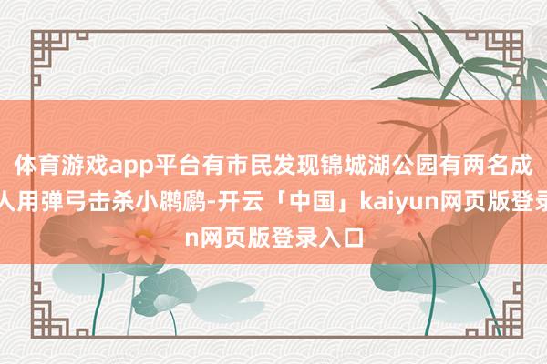 体育游戏app平台有市民发现锦城湖公园有两名成年男人用弹弓击杀小䴙䴘-开云「中国」kaiyun网页版登录入口