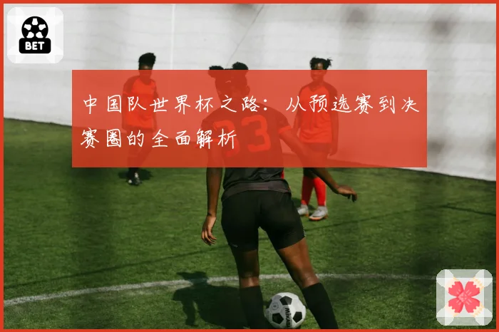 中国队世界杯之路：从预选赛到决赛圈的全面解析