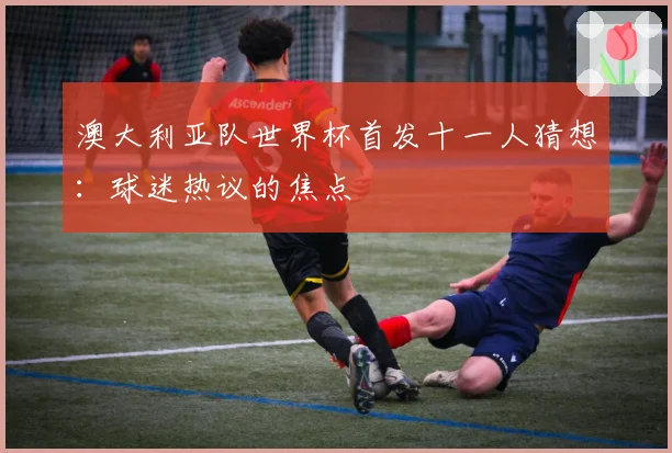 澳大利亚队世界杯首发十一人猜想：球迷热议的焦点