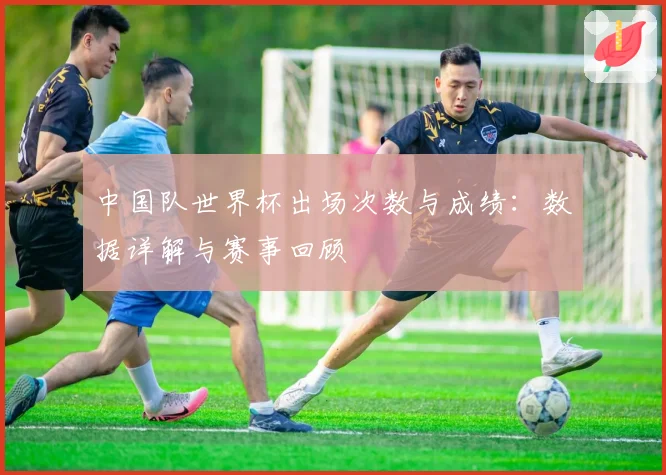中国队世界杯出场次数与成绩：数据详解与赛事回顾