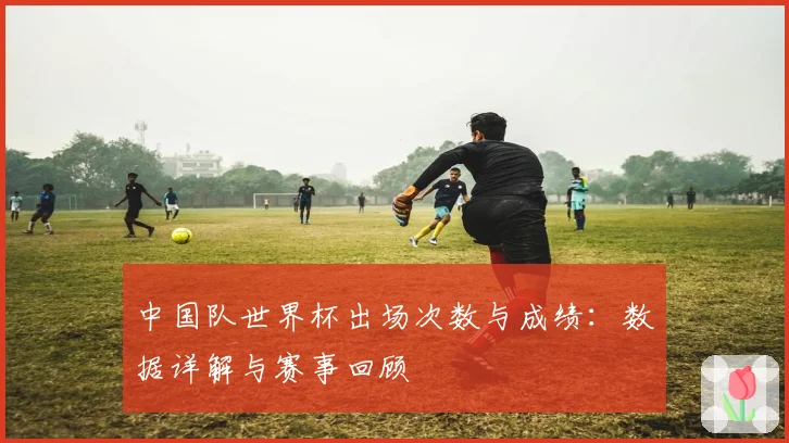 中国队世界杯出场次数与成绩：数据详解与赛事回顾
