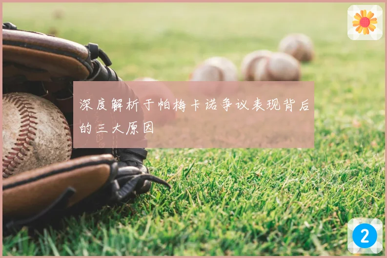 深度解析于帕梅卡诺争议表现背后的三大原因