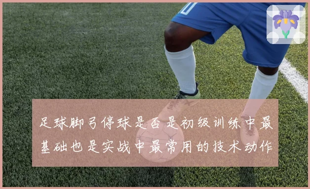 足球脚弓停球是否是初级训练中最基础也是实战中最常用的技术动作