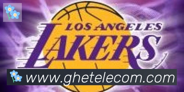 华体育app官网登录入口合作伙伴